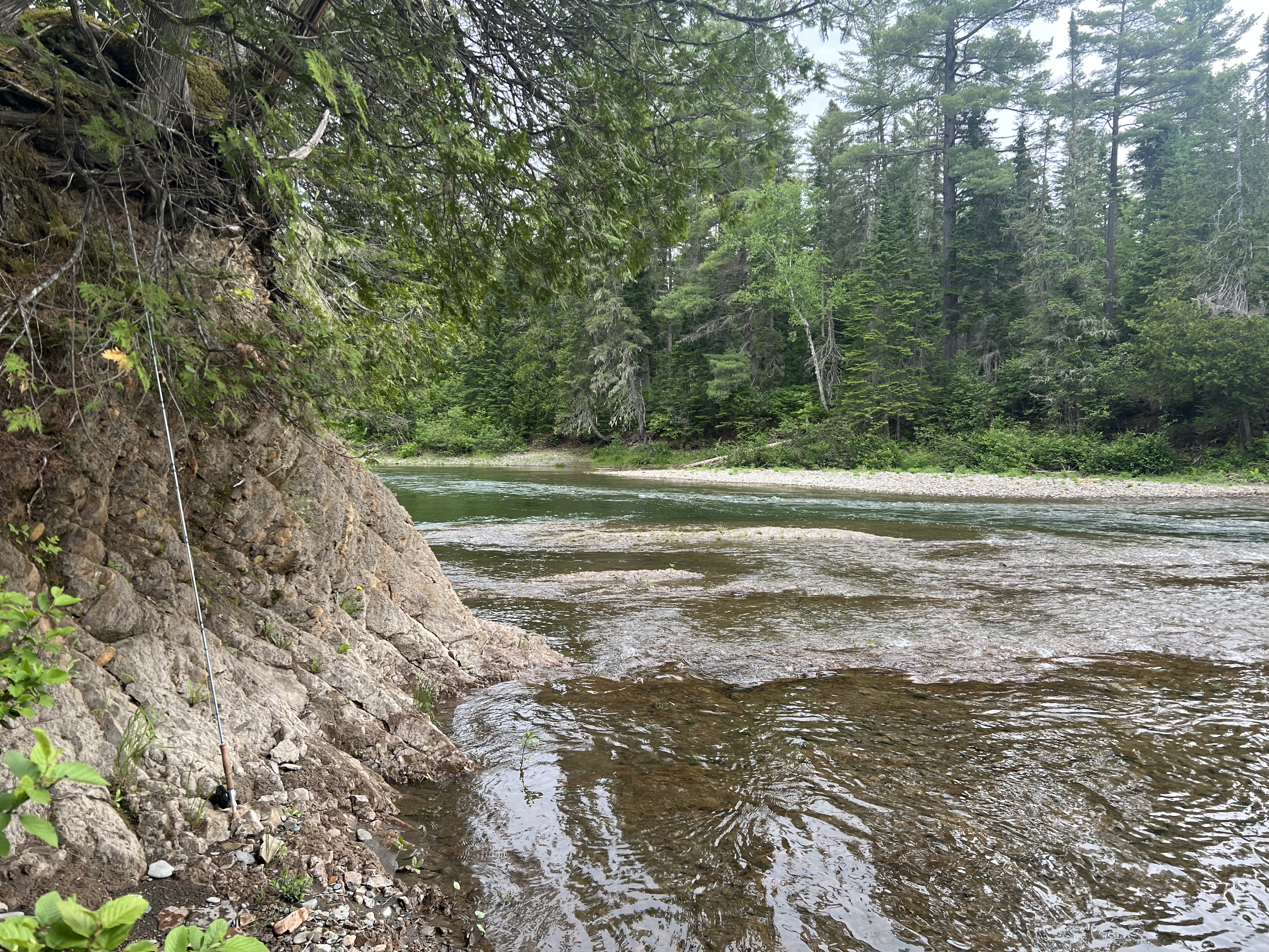 Brook Trout Waterway